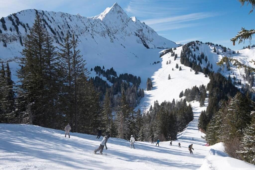 Les Cimes, Chaleureux Studio 4 Pers, 50M Du Telecabine, Vue Degagee Sur Les Pistes, Draps Non Compris Saint-Jean-dʼAulps Exterior foto