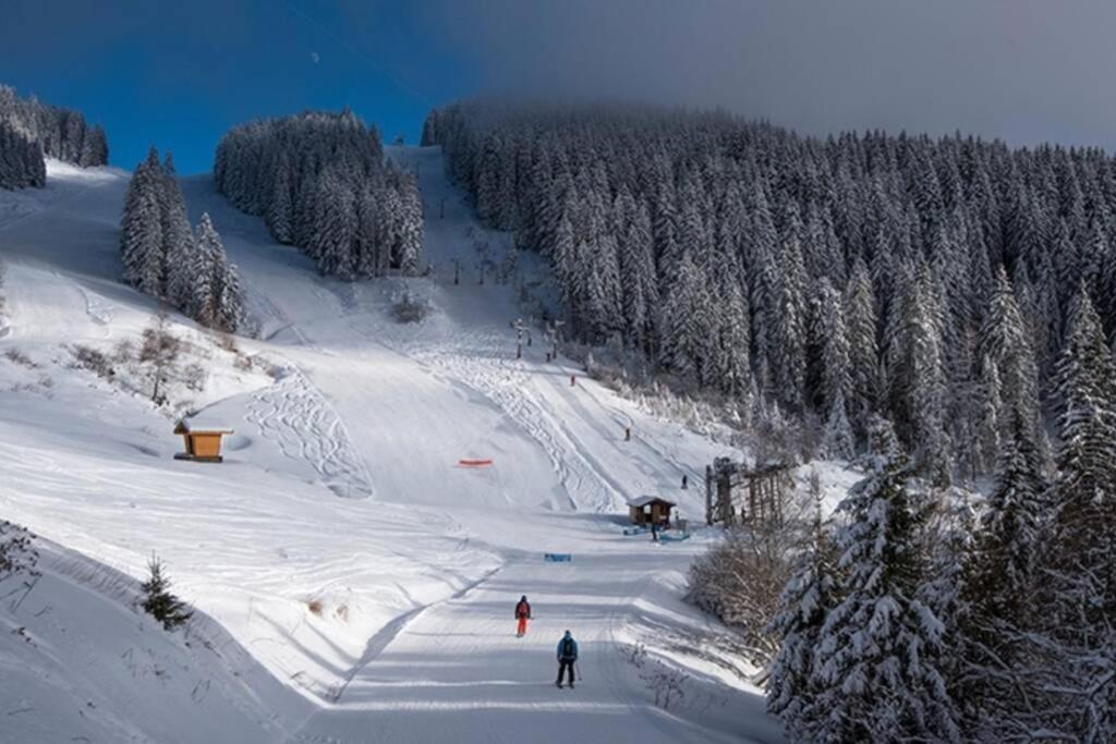 Les Cimes, Chaleureux Studio 4 Pers, 50M Du Telecabine, Vue Degagee Sur Les Pistes, Draps Non Compris Saint-Jean-dʼAulps Exterior foto