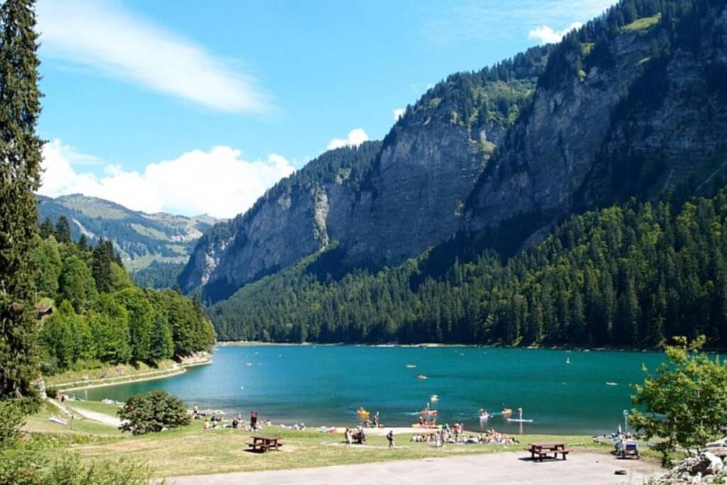 Les Cimes, Chaleureux Studio 4 Pers, 50M Du Telecabine, Vue Degagee Sur Les Pistes, Draps Non Compris Saint-Jean-dʼAulps Exterior foto